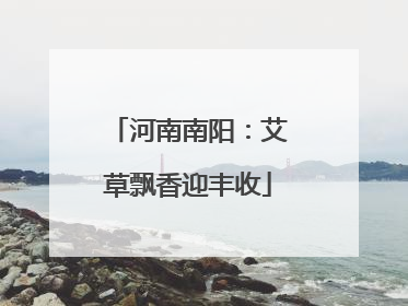 河南南阳：艾草飘香迎丰收
