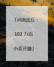 河南沈丘：102 万亩小麦开镰