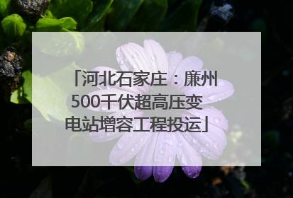 河北石家庄：廉州500千伏超高压变电站增容工程投运