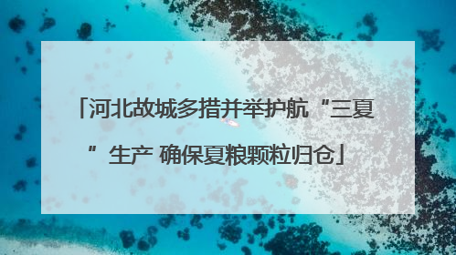 河北故城多措并举护航“三夏”生产 确保夏粮颗粒归仓