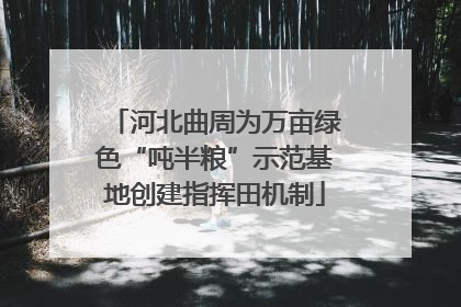 河北曲周为万亩绿色“吨半粮”示范基地创建指挥田机制