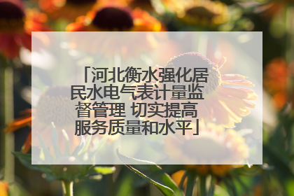 河北衡水强化居民水电气表计量监督管理 切实提高服务质量和水平