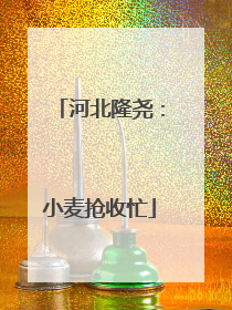 河北隆尧：小麦抢收忙