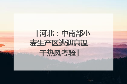 河北：中南部小麦生产区遭遇高温干热风考验