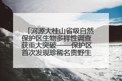河源大桂山省级自然保护区生物多样性调查获重大突破——保护区首次发现珍稀名贵野生干巴菌与钝尾两头蛇