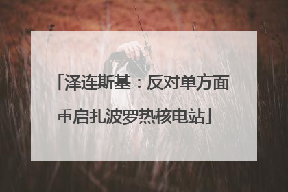 泽连斯基：反对单方面重启扎波罗热核电站