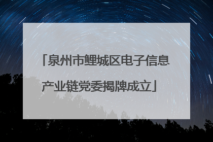 泉州市鲤城区电子信息产业链党委揭牌成立