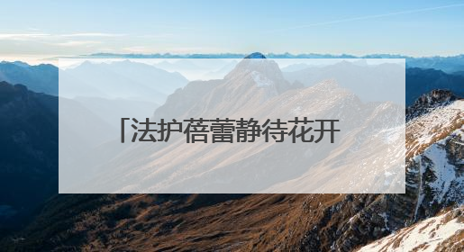 法护蓓蕾静待花开 司法育苗情暖童心