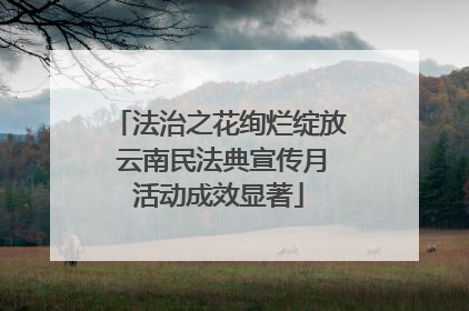 法治之花绚烂绽放 云南民法典宣传月活动成效显著