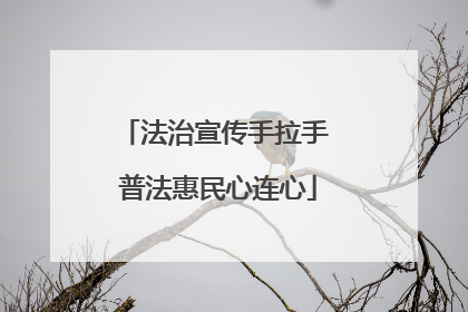 法治宣传手拉手 普法惠民心连心
