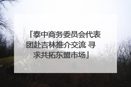 泰中商务委员会代表团赴吉林推介交流 寻求共拓东盟市场