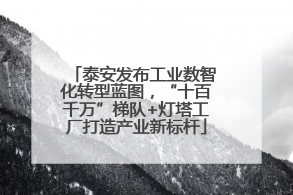 泰安发布工业数智化转型蓝图，“十百千万”梯队+灯塔工厂打造产业新标杆