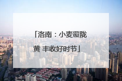 洛南：小麦覆陇黄 丰收好时节