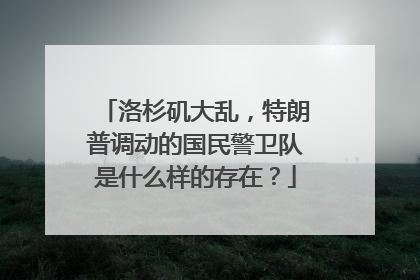 洛杉矶大乱，特朗普调动的国民警卫队是什么样的存在？