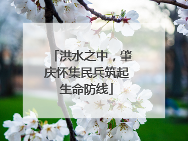 洪水之中，肇庆怀集民兵筑起生命防线