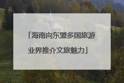 海南向东盟多国旅游业界推介文旅魅力