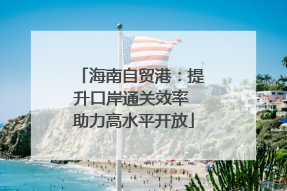 海南自贸港：提升口岸通关效率 助力高水平开放