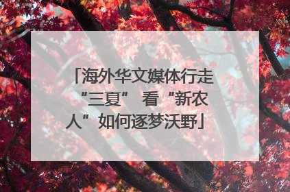 海外华文媒体行走“三夏” 看“新农人”如何逐梦沃野