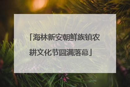海林新安朝鲜族镇农耕文化节圆满落幕