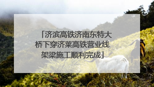 济滨高铁济南东特大桥下穿济莱高铁营业线架梁施工顺利完成