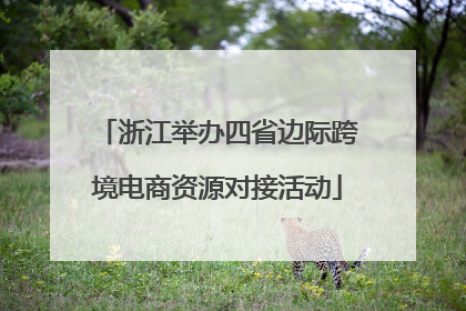 浙江举办四省边际跨境电商资源对接活动