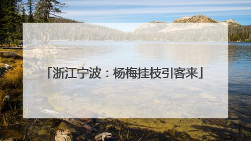 浙江宁波：杨梅挂枝引客来