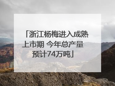 浙江杨梅进入成熟上市期 今年总产量预计74万吨