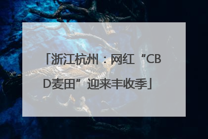 浙江杭州：网红“CBD麦田”迎来丰收季