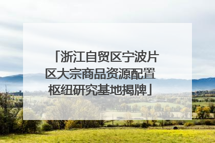 浙江自贸区宁波片区大宗商品资源配置枢纽研究基地揭牌