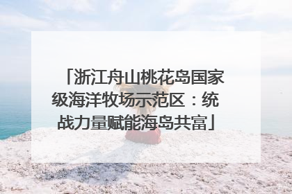 浙江舟山桃花岛国家级海洋牧场示范区：统战力量赋能海岛共富