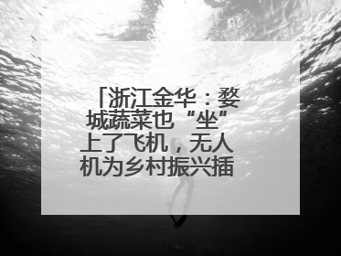 浙江金华：婺城蔬菜也“坐”上了飞机，无人机为乡村振兴插上“翅膀”