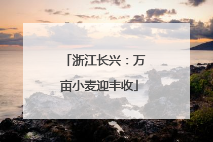 浙江长兴：万亩小麦迎丰收