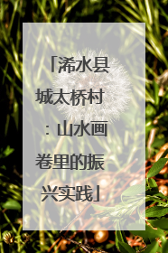 浠水县城太桥村：山水画卷里的振兴实践