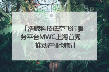 浩鲸科技低空飞行服务平台MWC上海首秀，推动产业创新