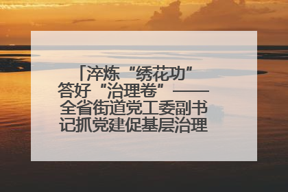 淬炼“绣花功” 答好“治理卷”——全省街道党工委副书记抓党建促基层治理培训示范班侧记