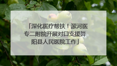 深化医疗帮扶！漯河医专二附院开展对口支援舞阳县人民医院工作