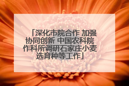 深化市院合作 加强协同创新 中国农科院作科所调研石家庄小麦选育种等工作