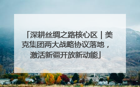 深耕丝绸之路核心区｜美克集团两大战略协议落地，激活新疆开放新动能