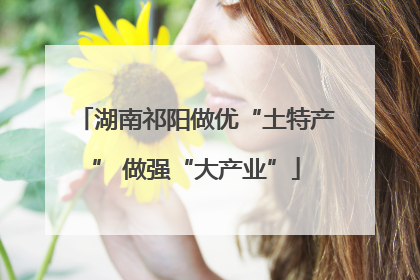湖南祁阳做优“土特产” 做强“大产业”