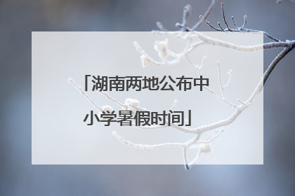 湖南两地公布中小学暑假时间