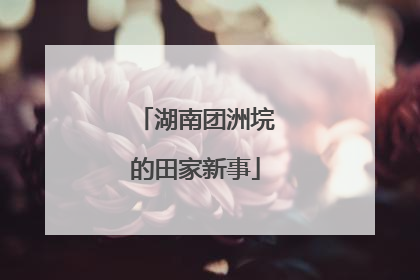 湖南团洲垸的田家新事