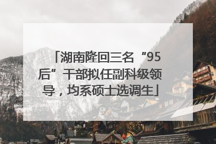 湖南隆回三名“95后”干部拟任副科级领导，均系硕士选调生