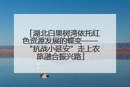 湖北白果树湾依托红色资源发展的蝶变——“抗战小延安”走上农旅融合振兴路