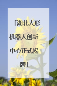 湖北人形机器人创新中心正式揭牌