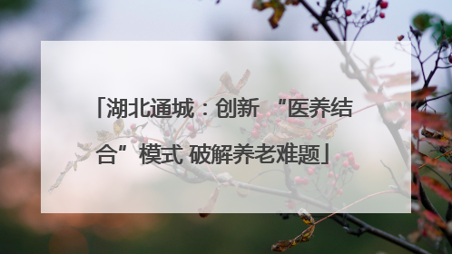 湖北通城：创新 “医养结合”模式 破解养老难题