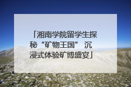 湘南学院留学生探秘“矿物王国” 沉浸式体验矿博盛宴