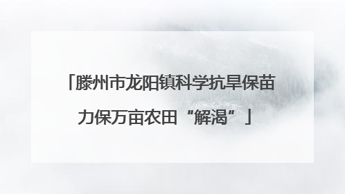 滕州市龙阳镇科学抗旱保苗 力保万亩农田“解渴”
