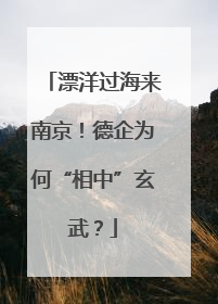 漂洋过海来南京！德企为何“相中”玄武？
