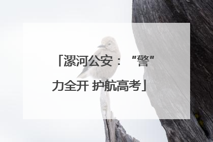 漯河公安：“警”力全开 护航高考