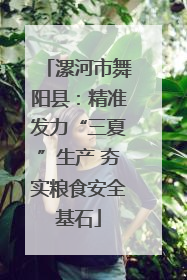 漯河市舞阳县：精准发力“三夏”生产 夯实粮食安全基石